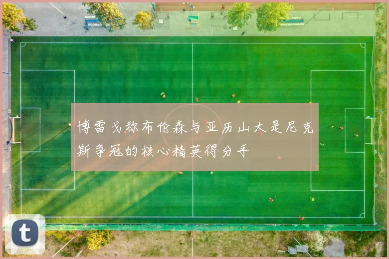 博雷戈称布伦森与亚历山大是尼克斯争冠的核心精英得分手