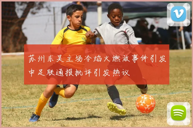 苏州东吴主场冷焰火燃放事件引发中足联通报批评引发热议